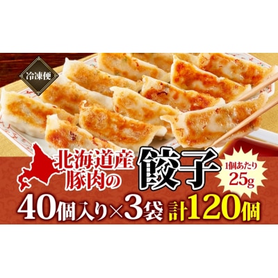 【大容量】北海道産豚肉のぎょうざ 120個!冷凍餃子 ギョーザ 国産 焼餃子 点心 滝川市 冷凍食品