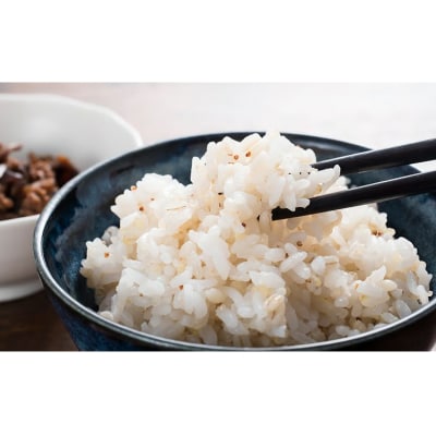 北海道産 もち麦(キラリモチ) 300g×15袋 | 穀物 麦 大麦 もち麦 食物繊維 もち麦ごはん