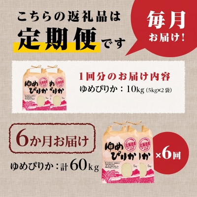 《令和8年産新米》6ヵ月連続お届け!ゆめぴりか10kg 特A 銘柄 ブランド米 精米 北海道 定期便