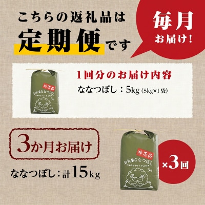《令和8年産新米》3ヵ月連続お届け!ななつぼし5kg 特A 銘柄 ブランド米 精米 北海道 定期便