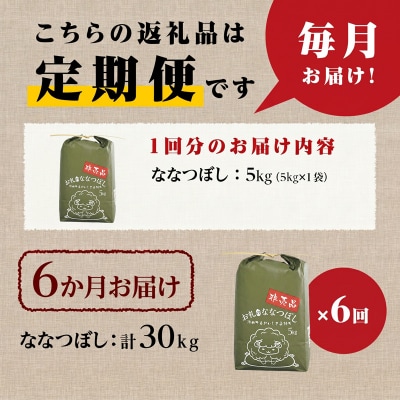 《令和8年産新米》6ヵ月連続お届け!ななつぼし5kg 特A 銘柄 ブランド米 精米 北海道 定期便