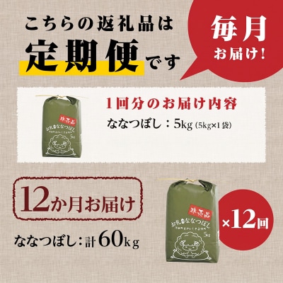 《令和8年産新米》12ヵ月連続お届け!ななつぼし5kg 特A 銘柄 ブランド米 精米 北海道 定期便