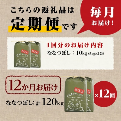 《令和8年産新米》12ヵ月連続お届け!ななつぼし10kg 特A 銘柄 ブランド米 北海道 定期便