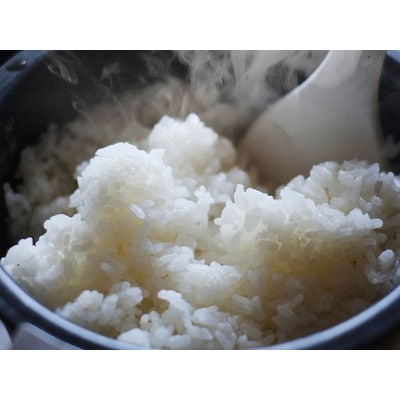 令和6年産　近江米【みずかがみ10kg】