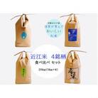 【限定20セット】令和6年産 近江米 4銘柄食べ比べセット20kg(5kg×4)