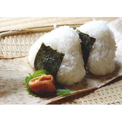 令和6年産 近江米 『コシヒカリ』20kg(5kg×4)