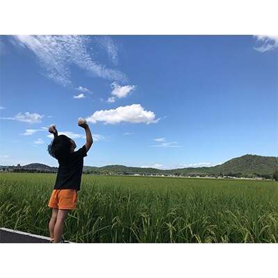 令和2年産 特別栽培 近江米 『コシヒカリ』20kg(5kg×4)