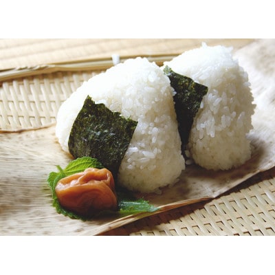 令和6年産 近江米 『みずかがみ』20kg(5kg×4)
