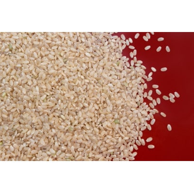 令和6年産 キヌヒカリ玄米 30kg
