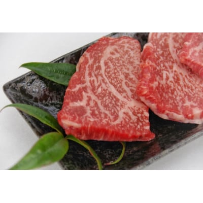 近江牛 赤身・カルビ焼肉セット(1kg)