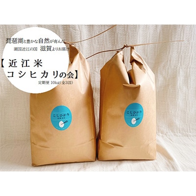 【毎月定期便】【近江米 コシヒカリの会 】10kg(全3回)