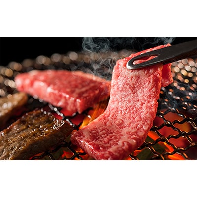 【毎月定期便】近江牛 定期便【厳選 すきしゃぶ・焼肉食べ比べの会】全8回