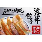 【毎月定期便】【近江牛餃子の会】定期便 全3回