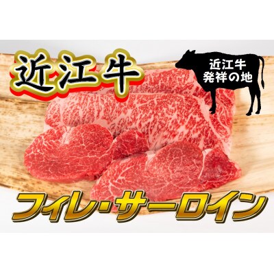 【2024年3月上旬発送】近江牛ステーキセット サーロイン180g×2枚・フィレ110g×2枚