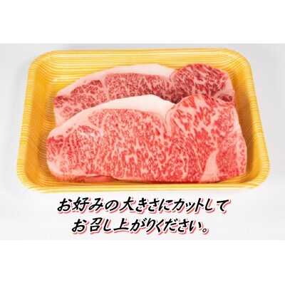 【2024年4月上旬発送】近江牛サーロインステーキ ブロック 計900g 450g×2枚 霜降り