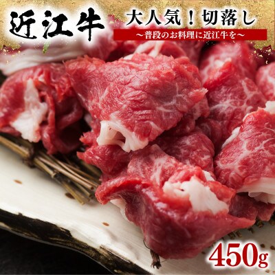 近江牛切り落とし 450g  滋賀県 竜王町 E009