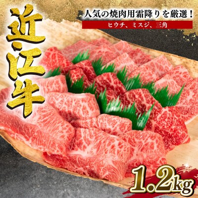 厳選 近江牛 希少部位 焼肉用 計1.2kg 400g×3P 小分け 滋賀県竜王町 E030