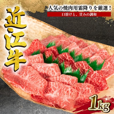 厳選 近江牛 希少部位 焼肉用 計1kg 500g×2P 小分け 滋賀県竜王町 E022