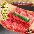 近江牛焼肉用 計1kg 赤身500g カルビ500g セット 二種盛り E026