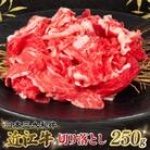 近江牛 切り落とし 250g E501