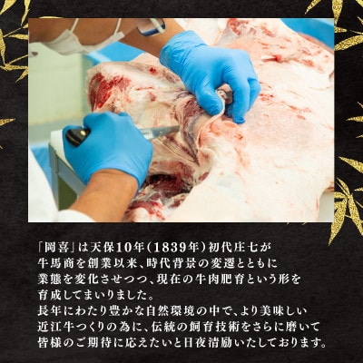 近江牛 切り落とし 250g E501