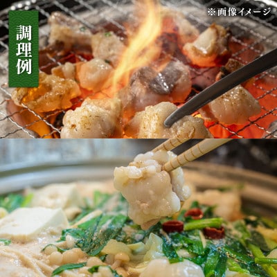 近江牛 ホルモン 800g 冷凍 E509