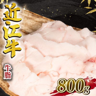 近江牛 牛脂 800g 冷凍 E513