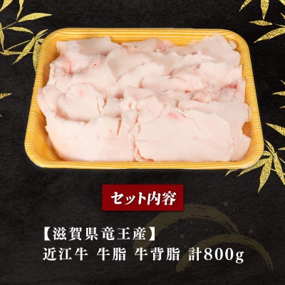 近江牛 牛脂 800g 冷凍 E513