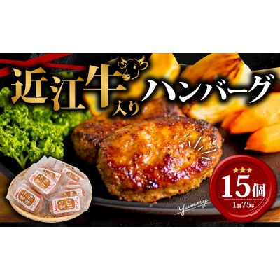 近江小判ハンバーグ 75g×15個 計1,125g E510