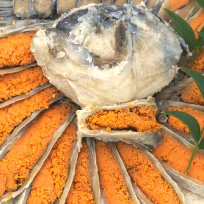 【滋賀の高級珍味】子持ち鮒寿司スライス特大サイズ520g(鮒寿司260g、発酵ご飯260g)