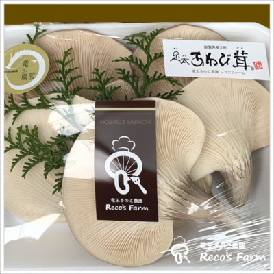 滋賀県竜王町産ヘルシーきのこ「足太あわび茸」約250g