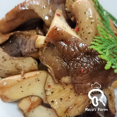 滋賀県竜王町産ヘルシーきのこ「足太あわび茸」約250g