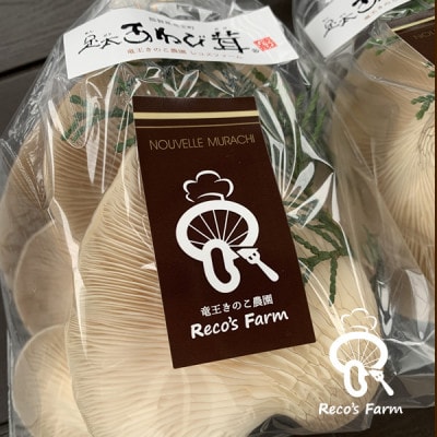 滋賀県竜王町産ヘルシーきのこ「足太あわび茸」約150g×2袋