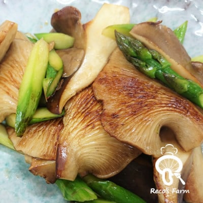 滋賀県竜王町産ヘルシーきのこ「足太あわび茸」約150g×2袋