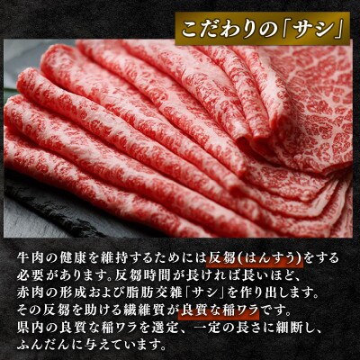 近江牛　澤井牧場　すき・しゃぶ用(霜降)　500g K042-NTZ_PT