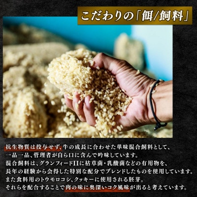 近江牛　澤井牧場　すき・しゃぶ用(赤身)　500g　K044