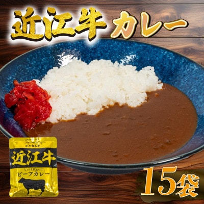 近江牛 レトルト カレー 160g×15袋セット K063