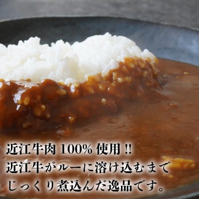 近江牛 レトルト カレー 160g×6袋セット K062