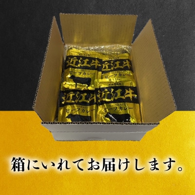 近江牛 レトルト カレー 160g×6袋セット K062