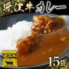 近江牛　レトルト　カレー　160g×15袋セット　K063_N1