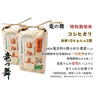 【2022年産】竜の舞 こしひかり(白米)20kg:10kg×2袋