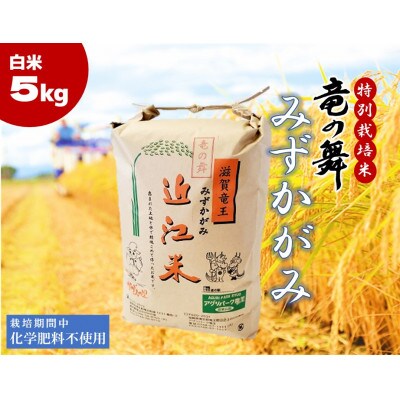 【2025年4月下旬発送】【2024年産】竜の舞 みずかがみ5kg