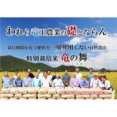 【2025年4月下旬発送】【2024年産】竜の舞 みずかがみ5kg