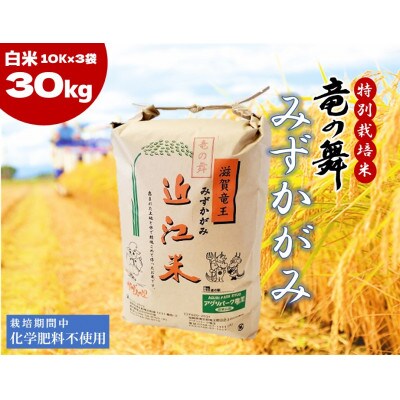 【2024年産】竜の舞 みずかがみ30kg