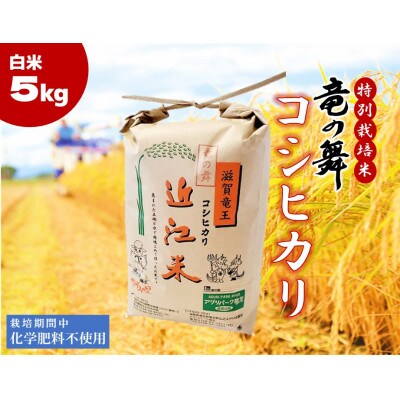 【2024年産】竜の舞 コシヒカリ5kg