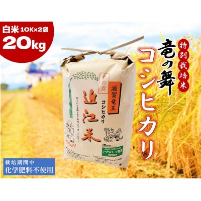 【2024年産】竜の舞 コシヒカリ20kg