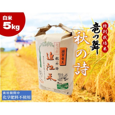【2024年産】竜の舞 秋の詩5kg