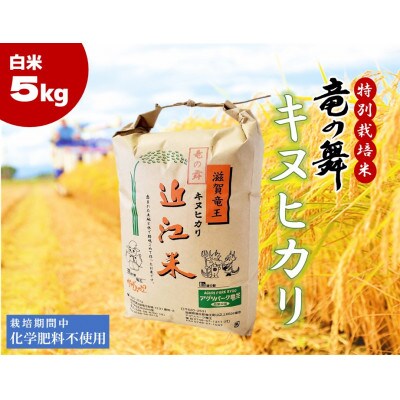 【2024年産】竜の舞 キヌヒカリ5kg