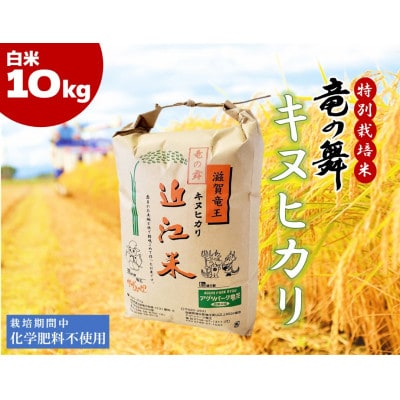 【2024年産】竜の舞 キヌヒカリ10kg