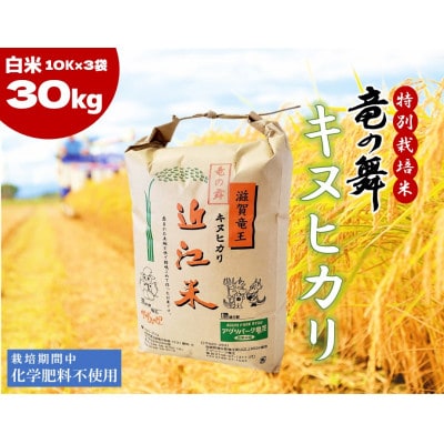 【2024年産】竜の舞 キヌヒカリ30kg